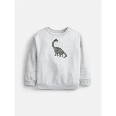 Wonder Nation Baby & Toddler Fleece Crewneck Sweatshirt, Sizes 6M-5T